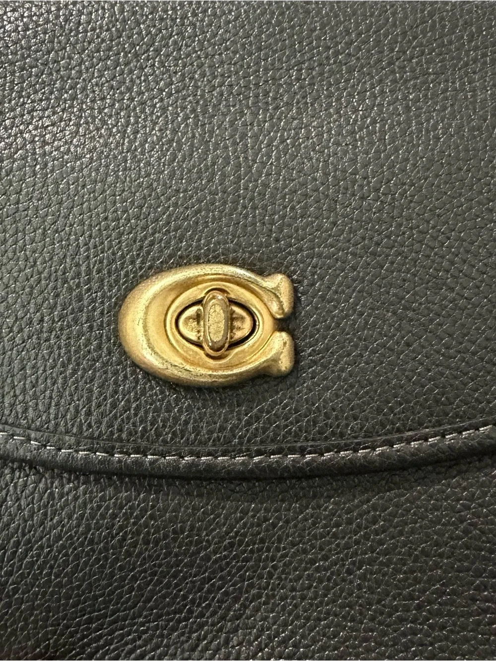 Coach Willow saddle bag